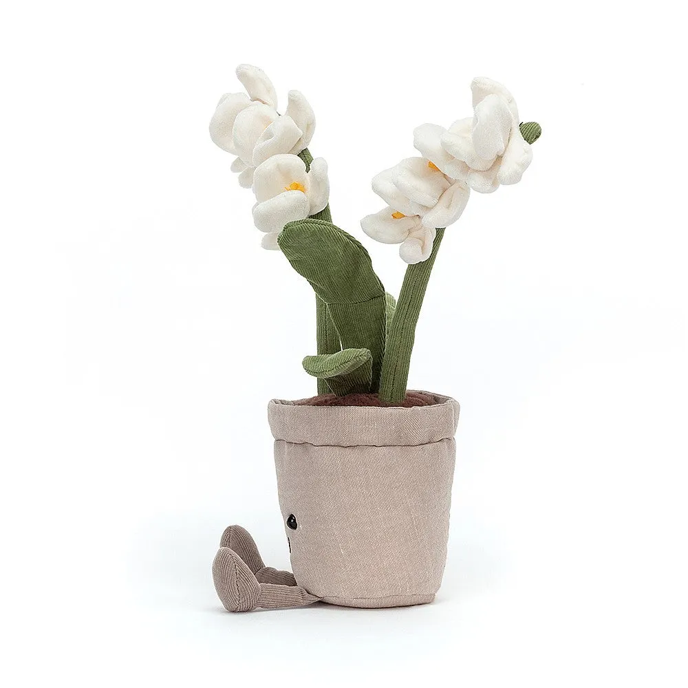 A2ORC Amuseable Cream Orchid